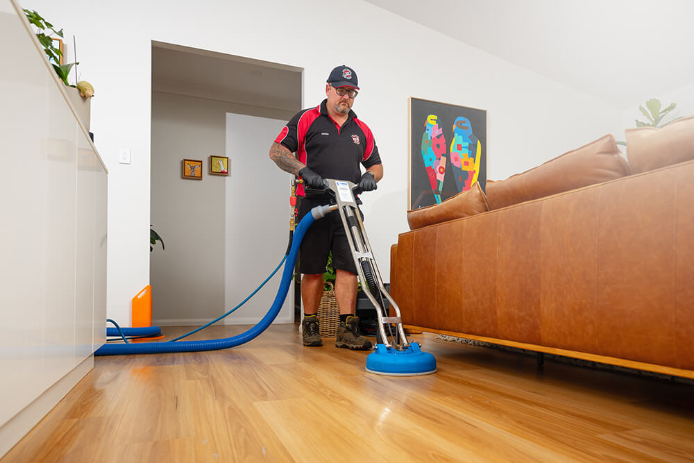 Vinyl Cleaning Services